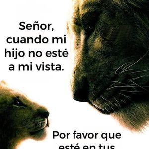 Meet your Posher, Rene